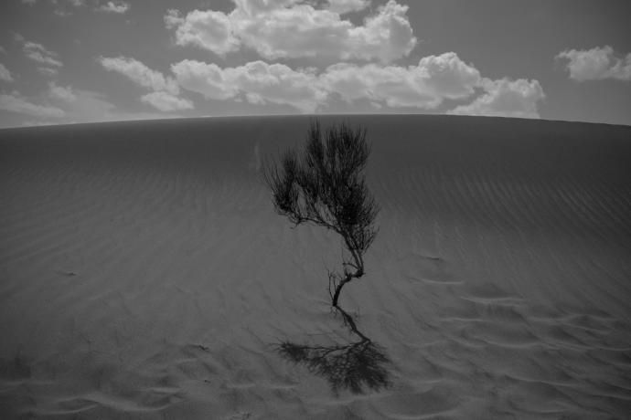 The Khara Desert, near Gavkhouni. Image by Ako Salemi. Iran, 2016.