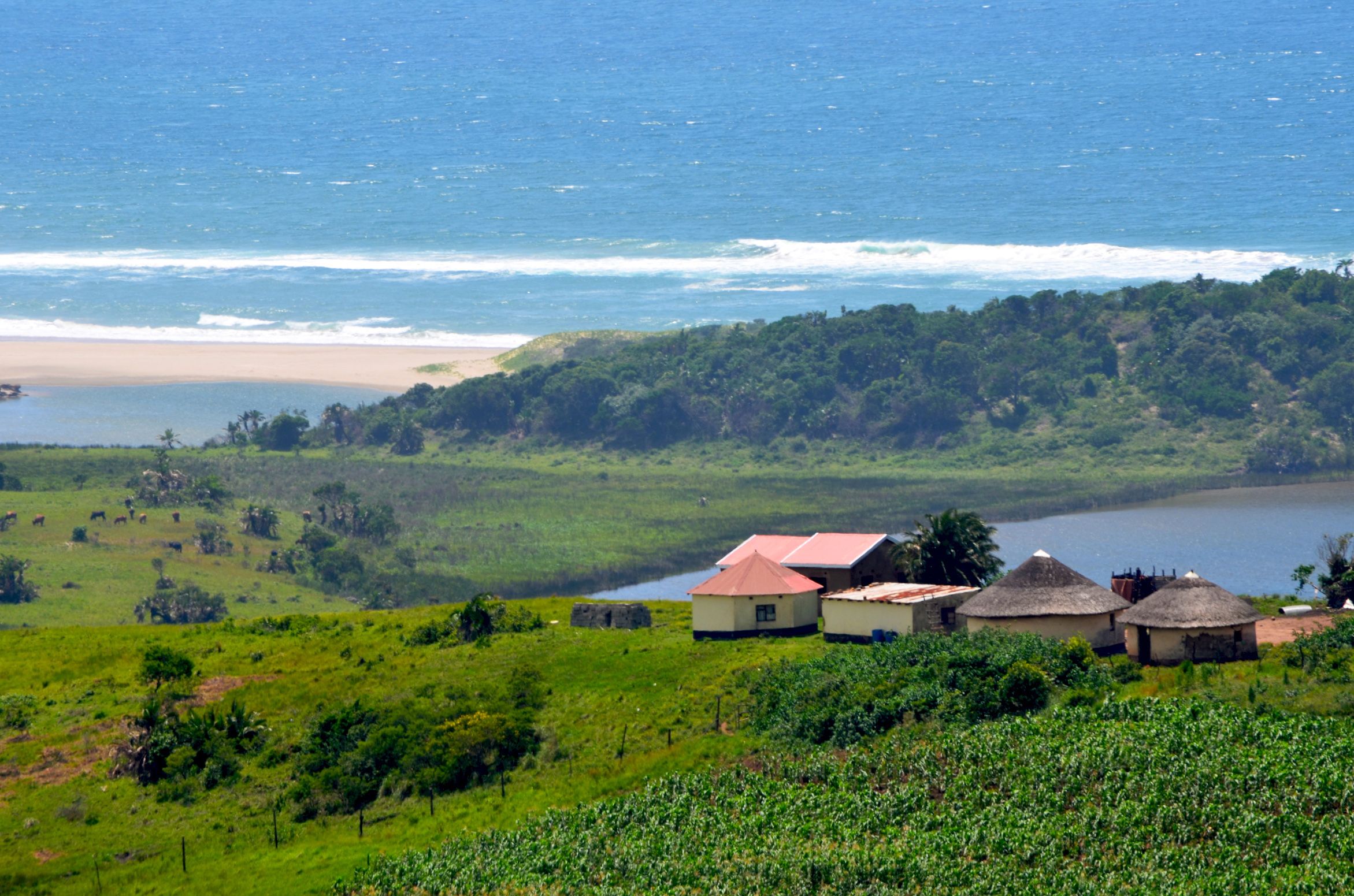 The coastal Amadiba area in South Africa's Eastern Cape province is the site of attempts to mine titanium-rich sand dunes.  Image by Mark Olalde. South Africa, 2016.