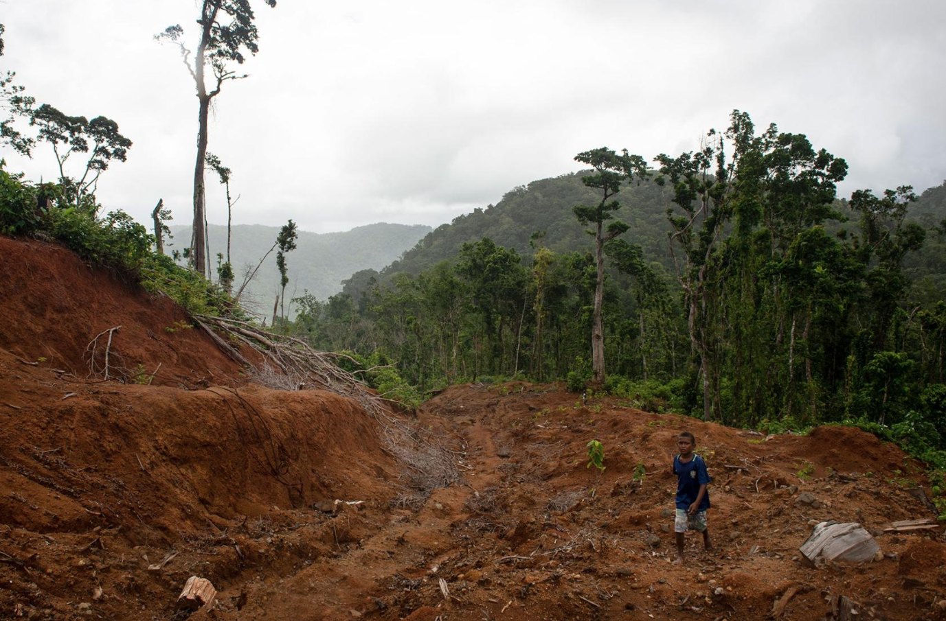 A logging road leads up to the main camp of Gallego, a logging company forced to stop operations by a local community. Image by Monique Jaques. Solomon Islands, 2020.