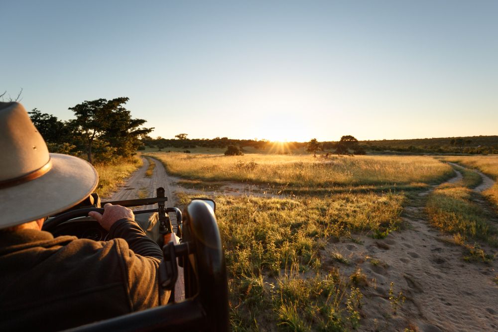View from safari vehicle in Sabi Sands Game Reserve. Image by Shutterstock. South Africa, undated.