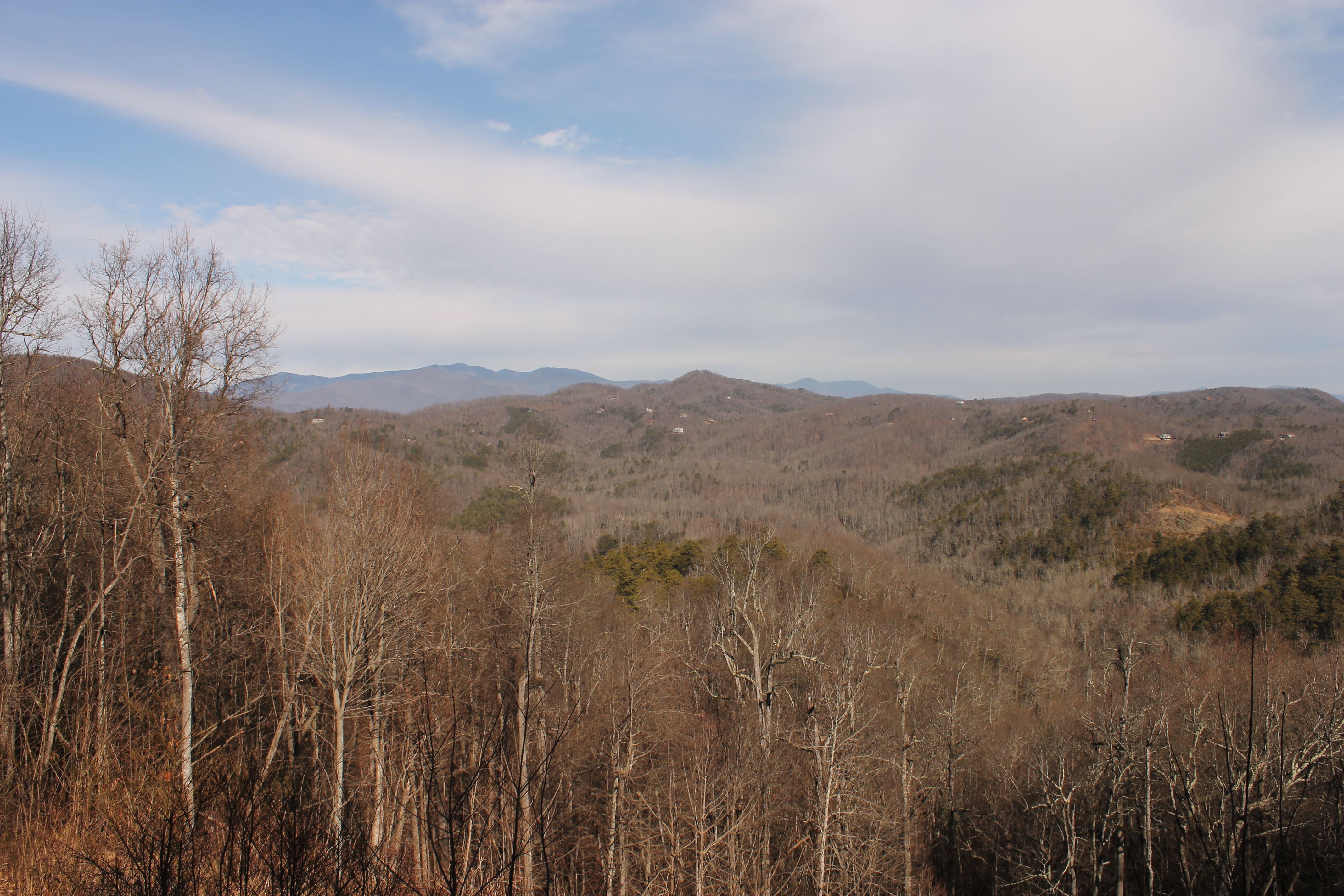 Houses dot the hillside near Black Mountain, North Carolina. Image by Emma Johnson. United States, 2020.