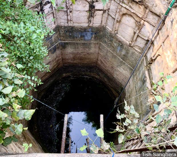 A 19th century well in Chhatarpur, Madhya Pradesh. Rejuvenating existing water-harvesting structures will be a more economical, less environmentally damaging alternative to big engineering projects such as the Ken-Betwa interlinking. Image by Tish Sanghera. India, undated. 
