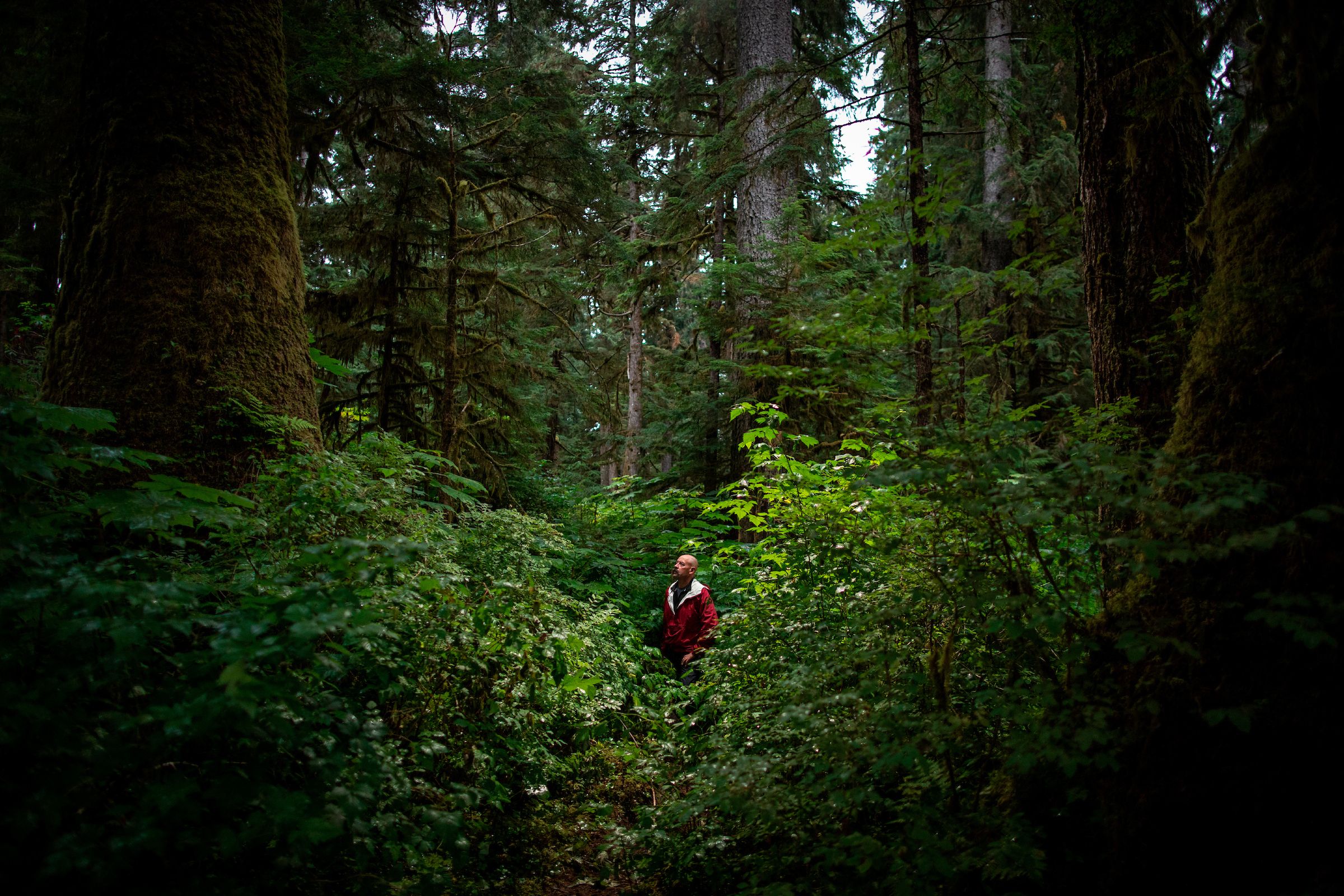 Retired State Trooper and local conservationist Bob Claus tours some of the last pristine old growth forest that remains on Prince of Wales Island, Alaska. Image by Joshua Cogan. United States, 2019.