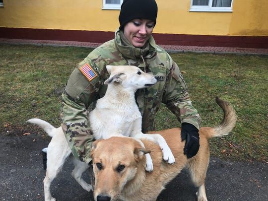 Wisconsin National Guard Sgt. Jamie Zimmerman pets Snowball and Max at the International Peacekeeping and Security Centre in Yavoriv, Ukraine. Zimmerman is a civilian veterinarian and a military medic serving a one-year deploying to Ukraine. Image by Meg Jones / Milwaukee Journal Sentinel. Ukraine, 2020.