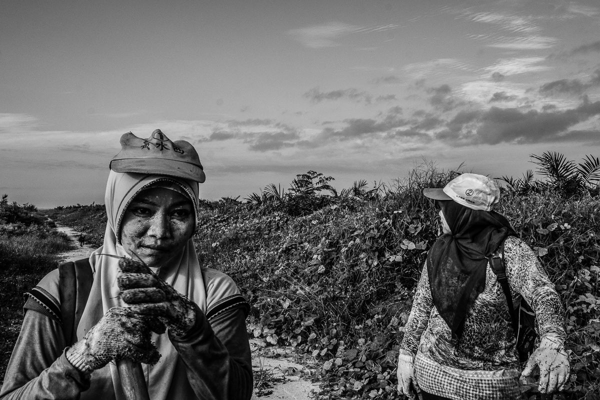 DAILY GRIND. Supraetun (left) and Asnia inside the plantation in Kandis, Riau, Indonesia. Image by Xyza Cruz Bacani. 2018.