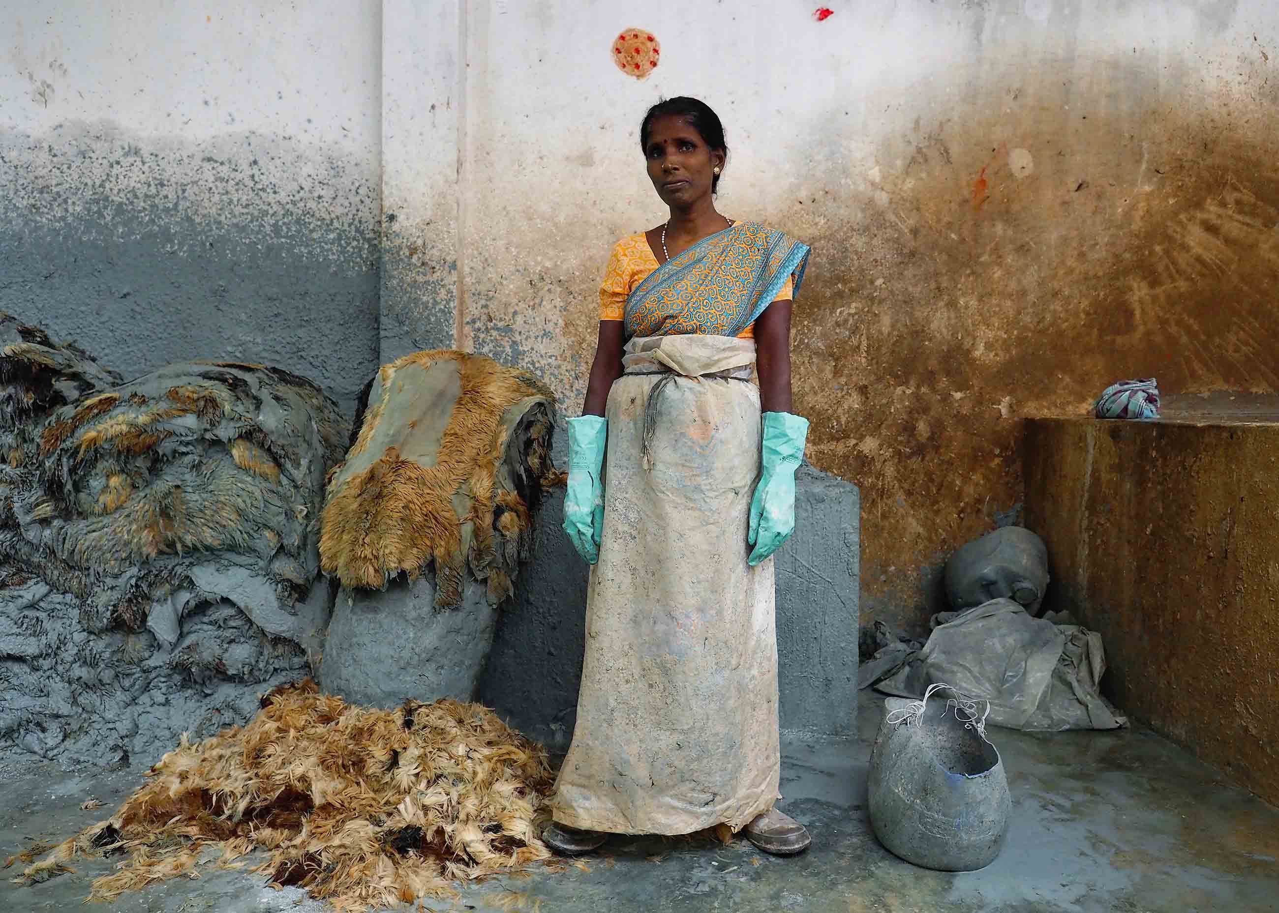 The situation in Hazaribagh is not unlike that in parts of India. This woman protects herself with gloves and sheet plastic as she plucks hair by hand from goat hides soaked in an alkaline solution to loosen the fibers, at a processing facility in Tamil Nadu. Image by Larry C. Price. Bangladesh, 2016.