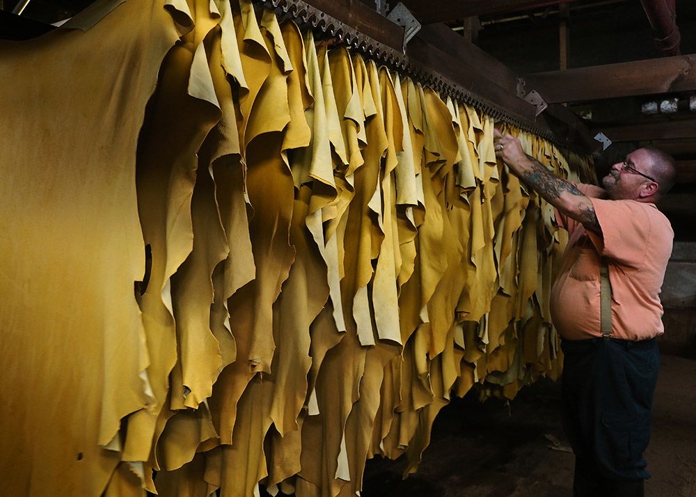 A worker arranges hides in the hanging room at Colonial Tanning Corp. Tanning requires successive baths in a variety of industrial solutions. These hides will dry for eight to 10 hours. Image by Larry C. Price. United States, 2016.