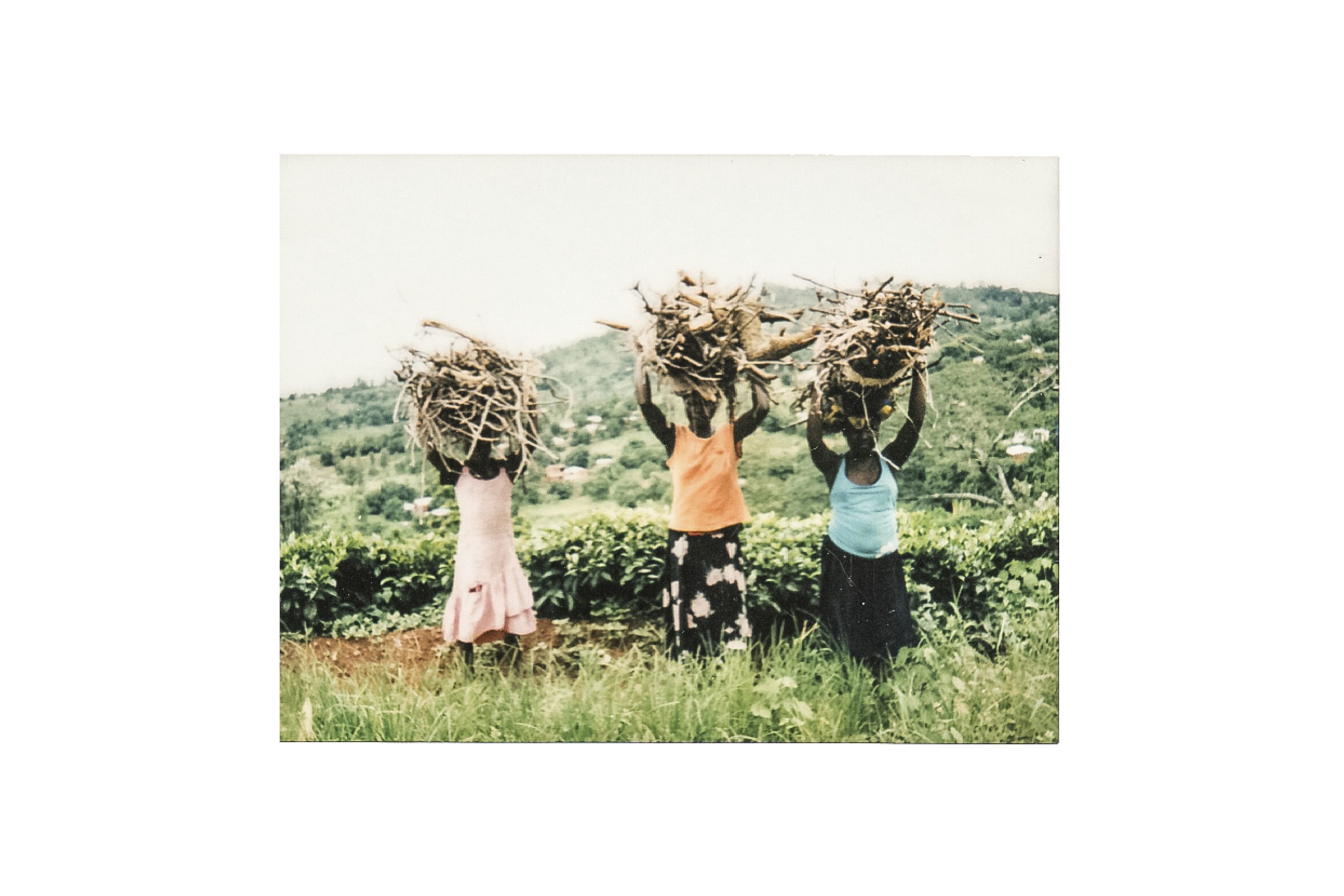Every three days, Charity, Merica, and Rhoda walk from Mulemba village up Mulanje Mountain to collect firewood. "It is very heavy," Rhoda (left) says. Image by Nathalie Bertrams. Malawi, 2017.