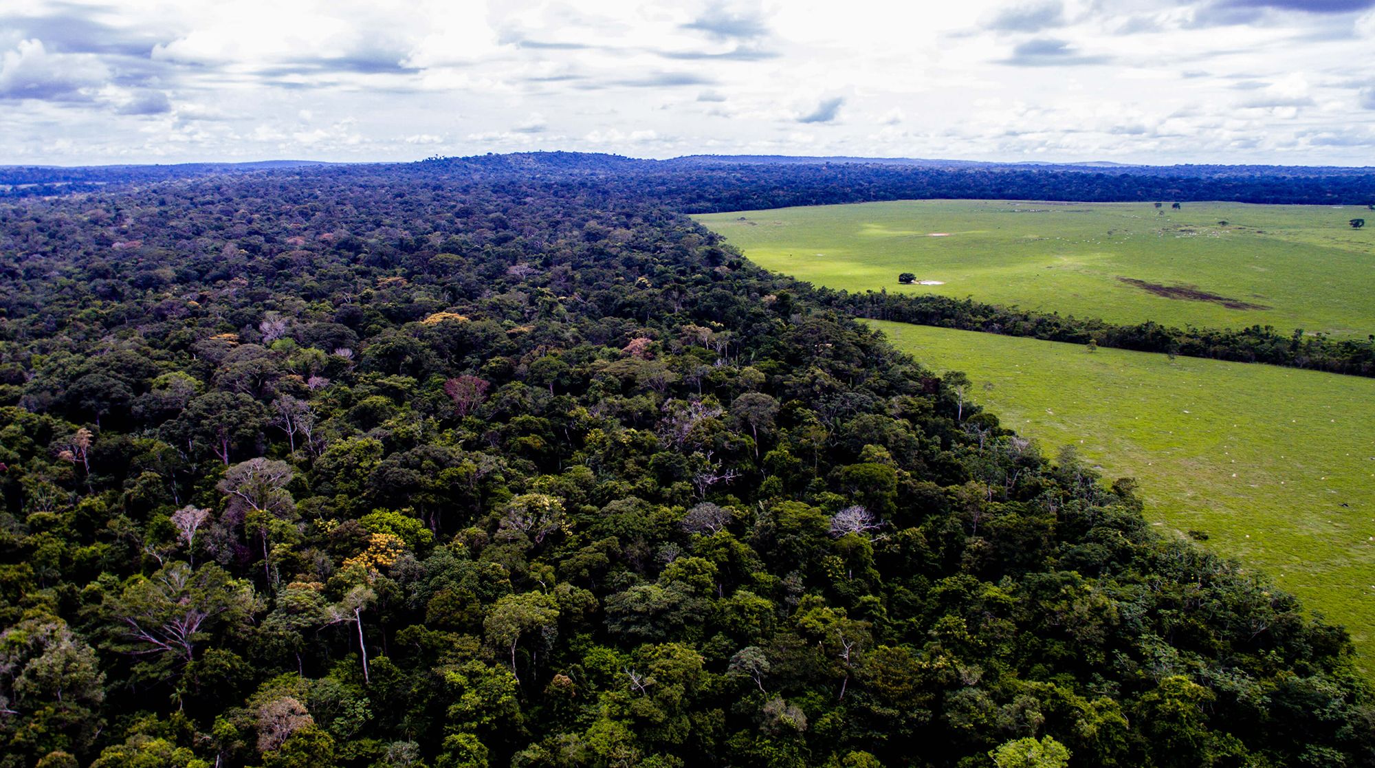 The forest and the farm near the Roosevelt River, Brazil. Image by Caio Mota. Brazil, 2019.
