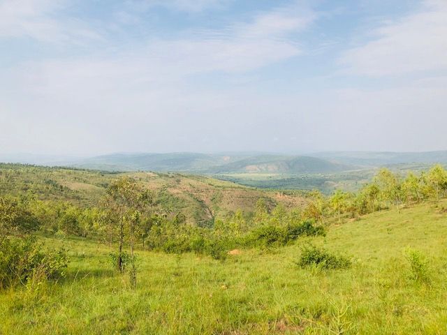Rwanda is almost entirely rural, earning itself the nickname "Land of a Thousand Hills." Image by Cammie Behnke. Rwanda, 2018.