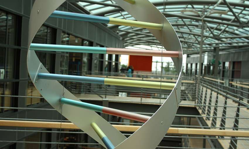 A DNA sculpture in deCODE Genetics Reykjavik headquarters. The company says it has all the information needed to accurately identify almost every single BRCA mutation carrier in Iceland. Image by Anna M. Clausen. Iceland, 2017.