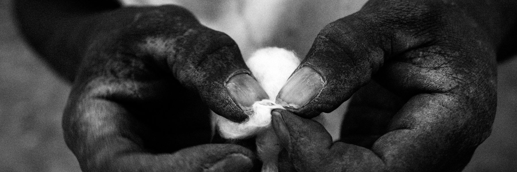A farmer is seen extracting the seed out of the cotton crop, in Boromo. Image by Jošt Franko. Burkina Faso, 2015.
