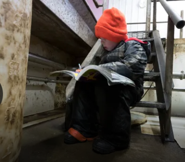 Skyler Thewis writes in a workbook while his parents work in the milking parlor. Image by Mark Hoffman/Milwaukee Journal Sentinel. USA, 2019.
