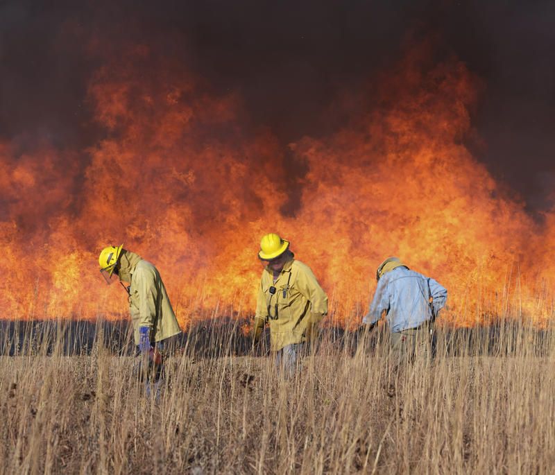 Volunteer crews at Konza Prairie Biological Station have a careful system for burning exactly the areas intended. Image by Kyler Zelen / For Harvest Public Media. United States, 2020.