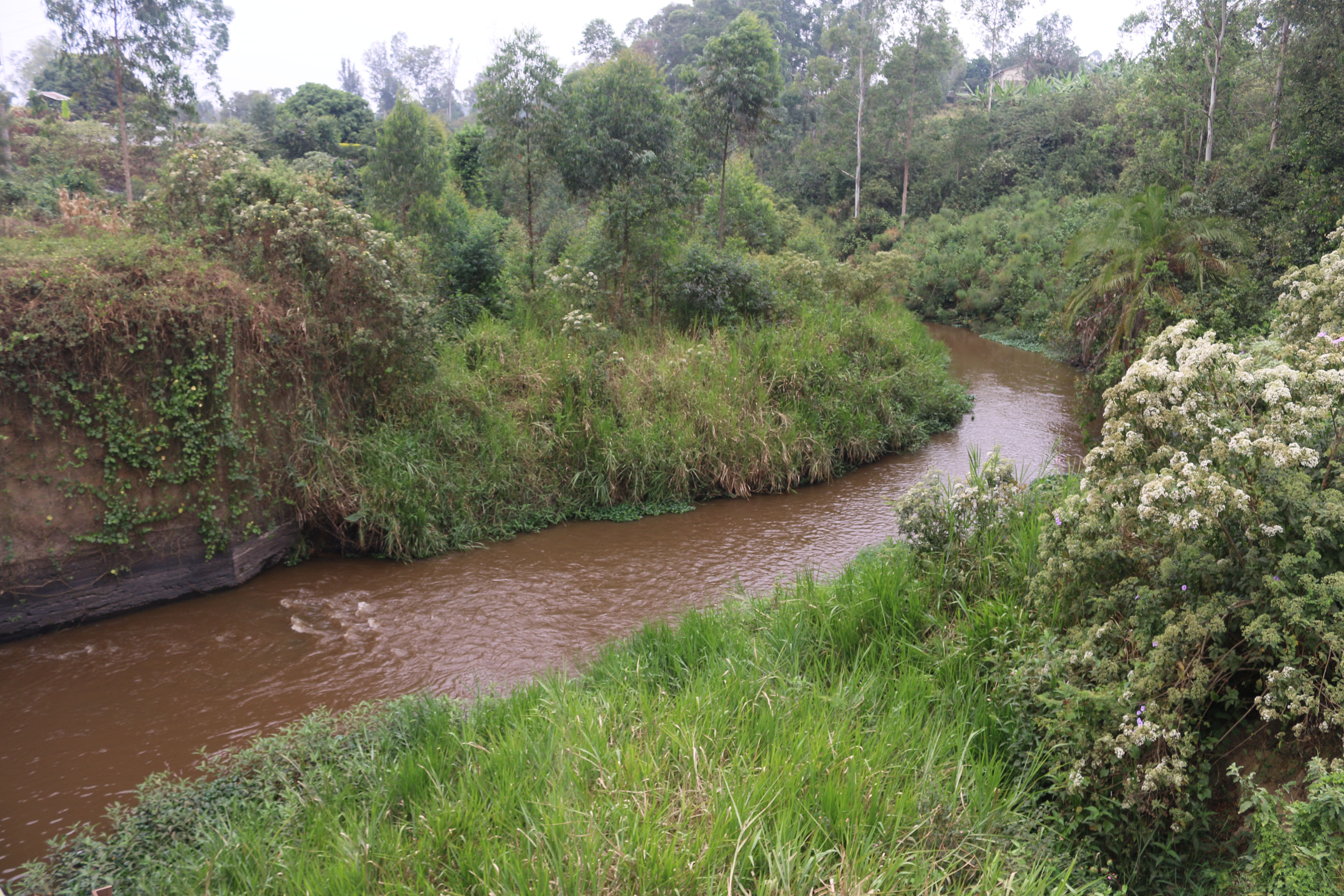 River Rwizi in Southwestern Uganda. Officials say River Rwizi, a life-line river for about five million people has had up to 80 percent of its water dry up. Image by Fredrick Mugira. Uganda, 2019.
