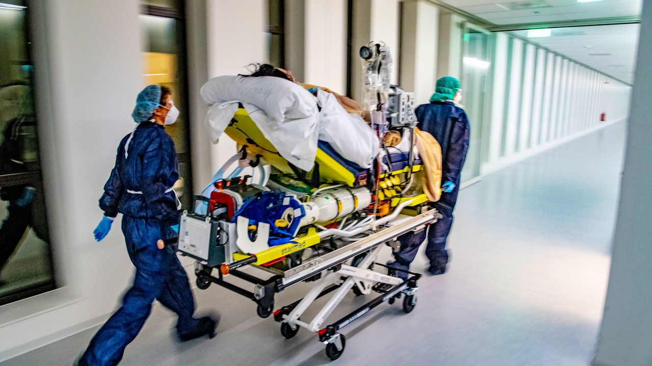 Dutch models of COVID-19 are designed to help prevent overloading of hospitals and the need to transfer patients. Image by Thomas Angus/Imperial College London.  United Kingdom, 2020.