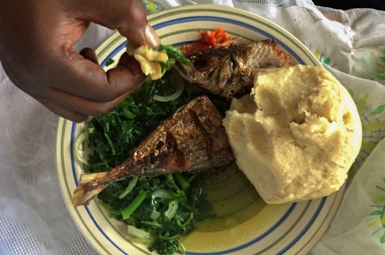 A typical meal in the Democratic Republic of Congo consists of greens, fufu - a starchy ball made from cassava flour - and meat, such as freshwater fish. Image by Amy Maxmen. DRC, 2017.