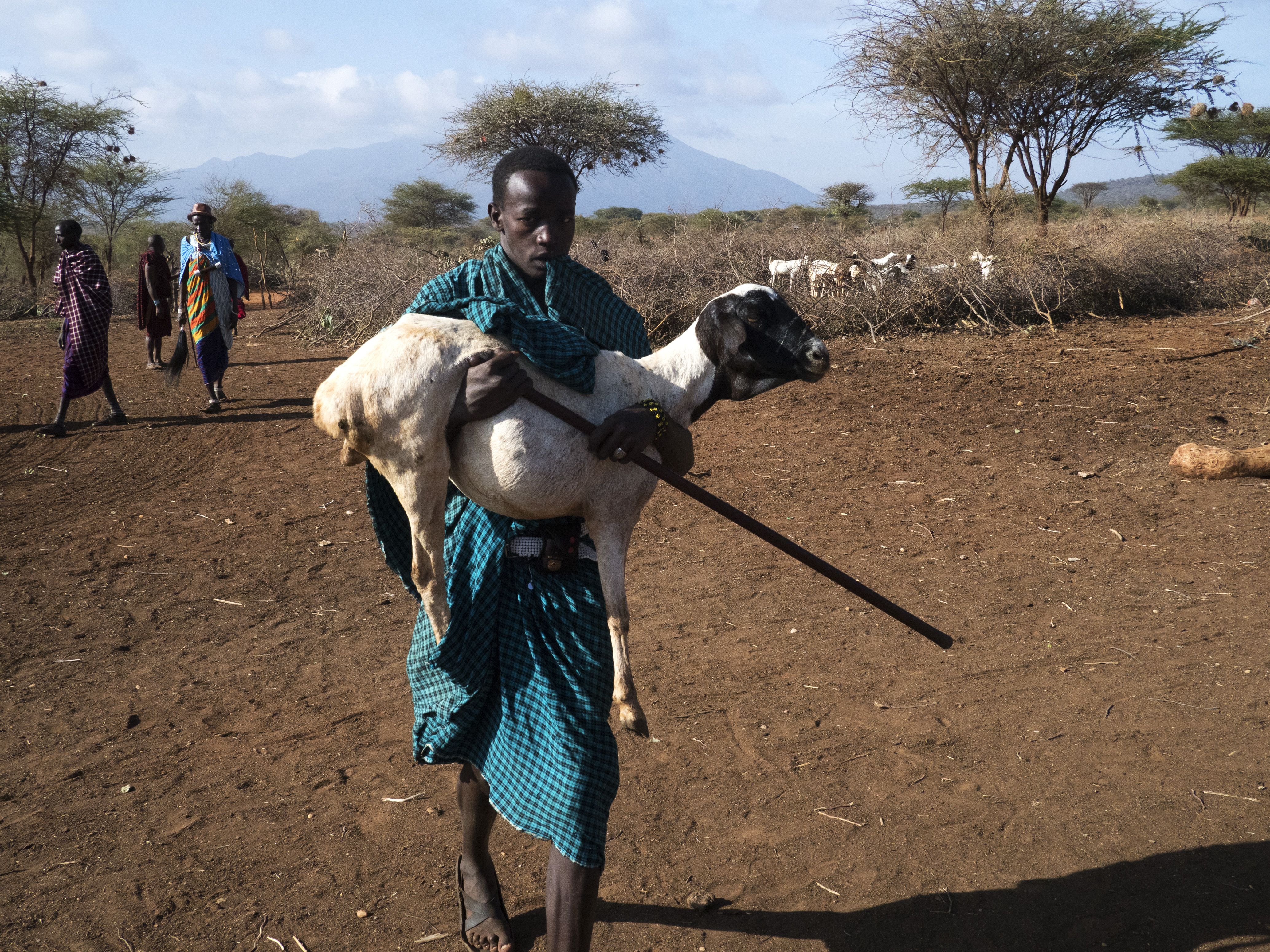 Preparing the slaughtering of a sheep. Image by Thomas Dworzak/Magnum Photos. Tanzania, 2018.