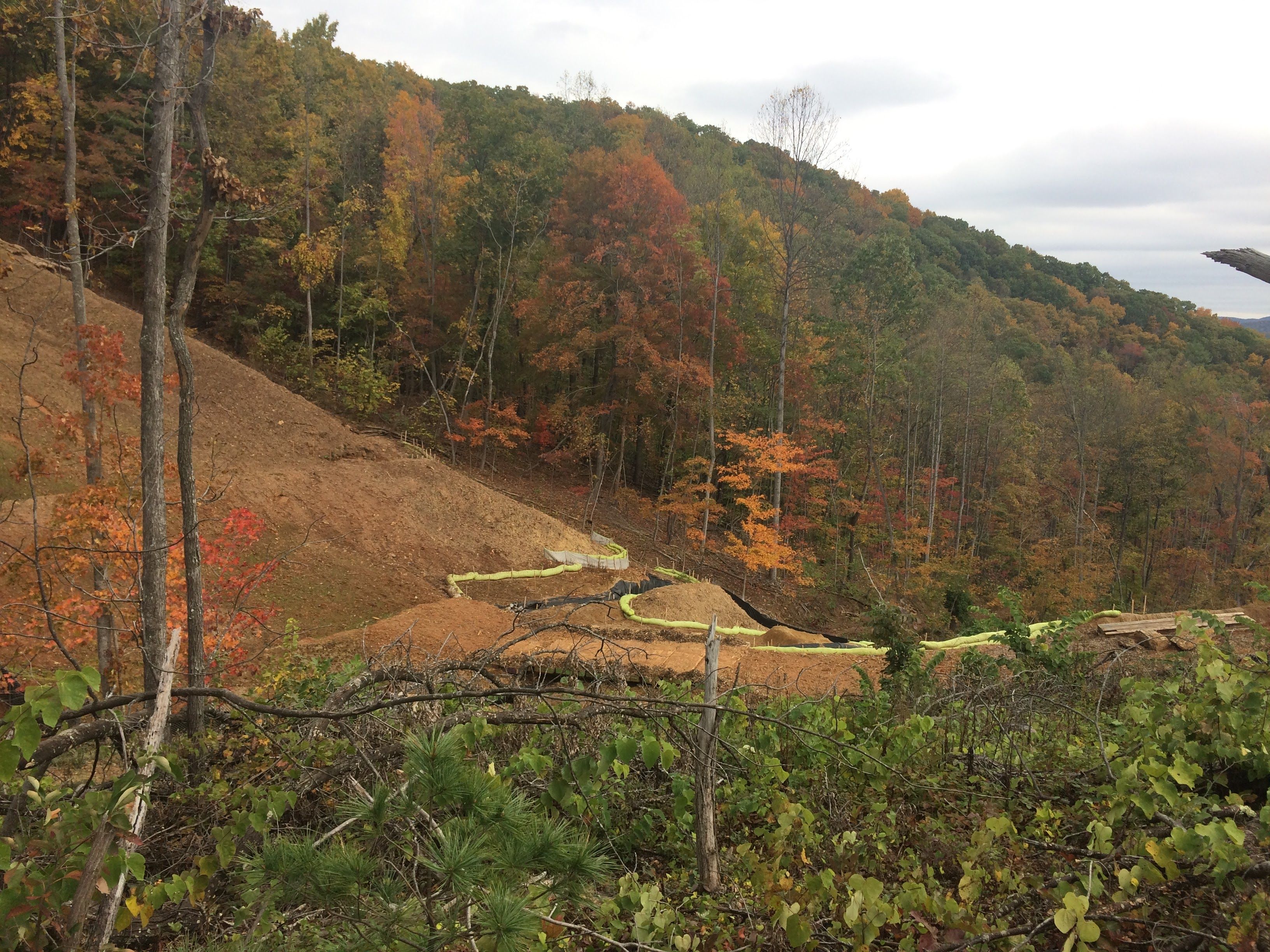 A view of land cleared for the Mountain Valley Pipeline, near the Yellow Finch tree-sits. Image by Kelsey Wright. United States, 2019.