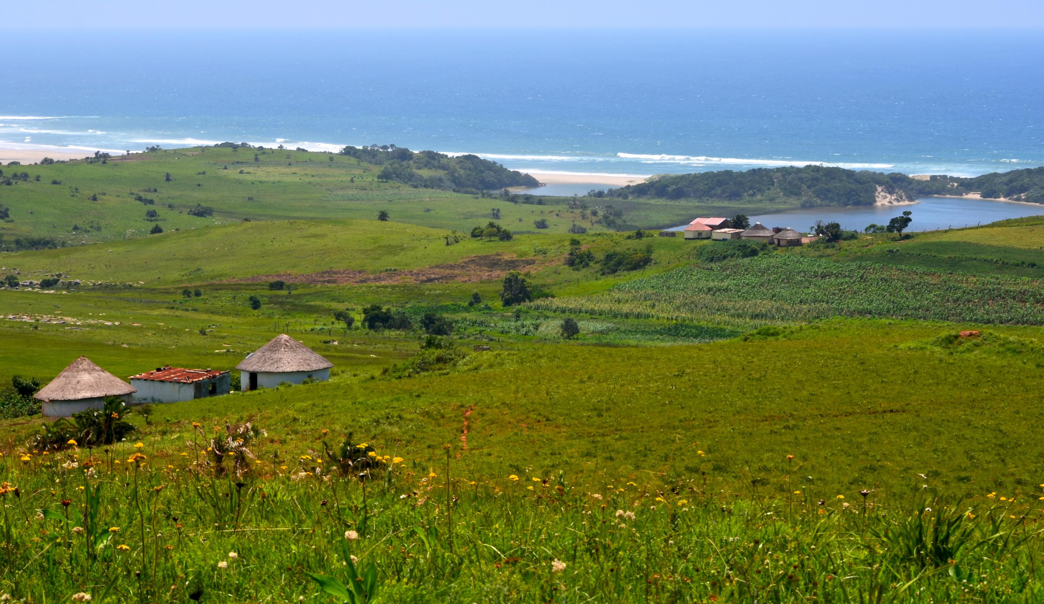 Homes and small agricultural plots dot the villages of Amadiba in South Africa's Eastern Cape province. Image by Mark Olalde. South Africa, 2017.