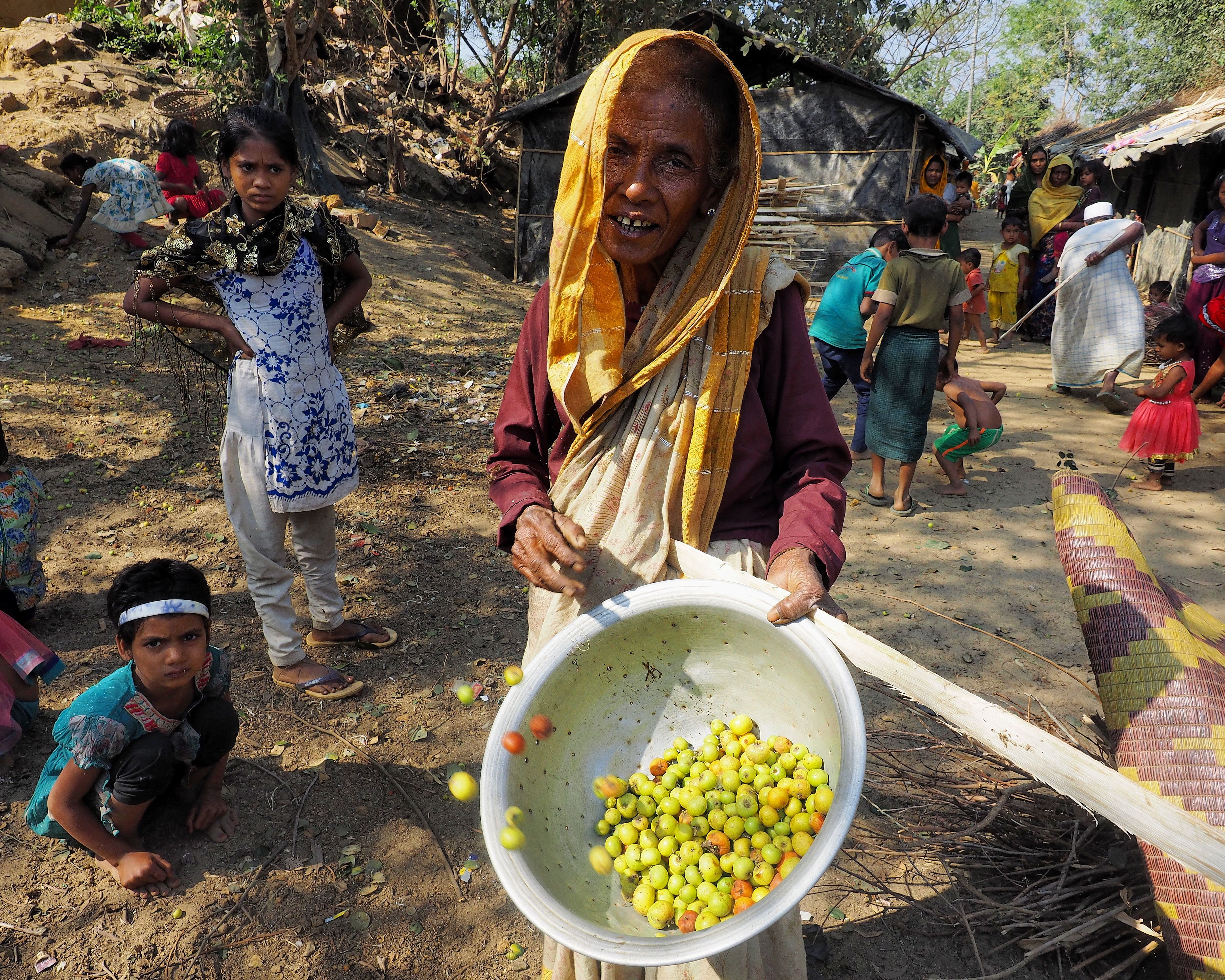 A woman picking fruit from trees in Kutapolong refugee camp. Image by Doug Bock Clark. Bangladesh, 2017. 