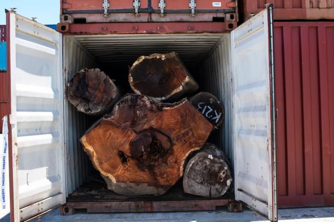 One of 19 containers of Kwila—a slow-growing hardwood—seized by the Customs Department of the Solomon Islands. The cargo was billed as milled Kwila, which has significantly less export duties and value abroad than uncut Kwila. Image by Monique Jaques. Solomon Islands, 2020.