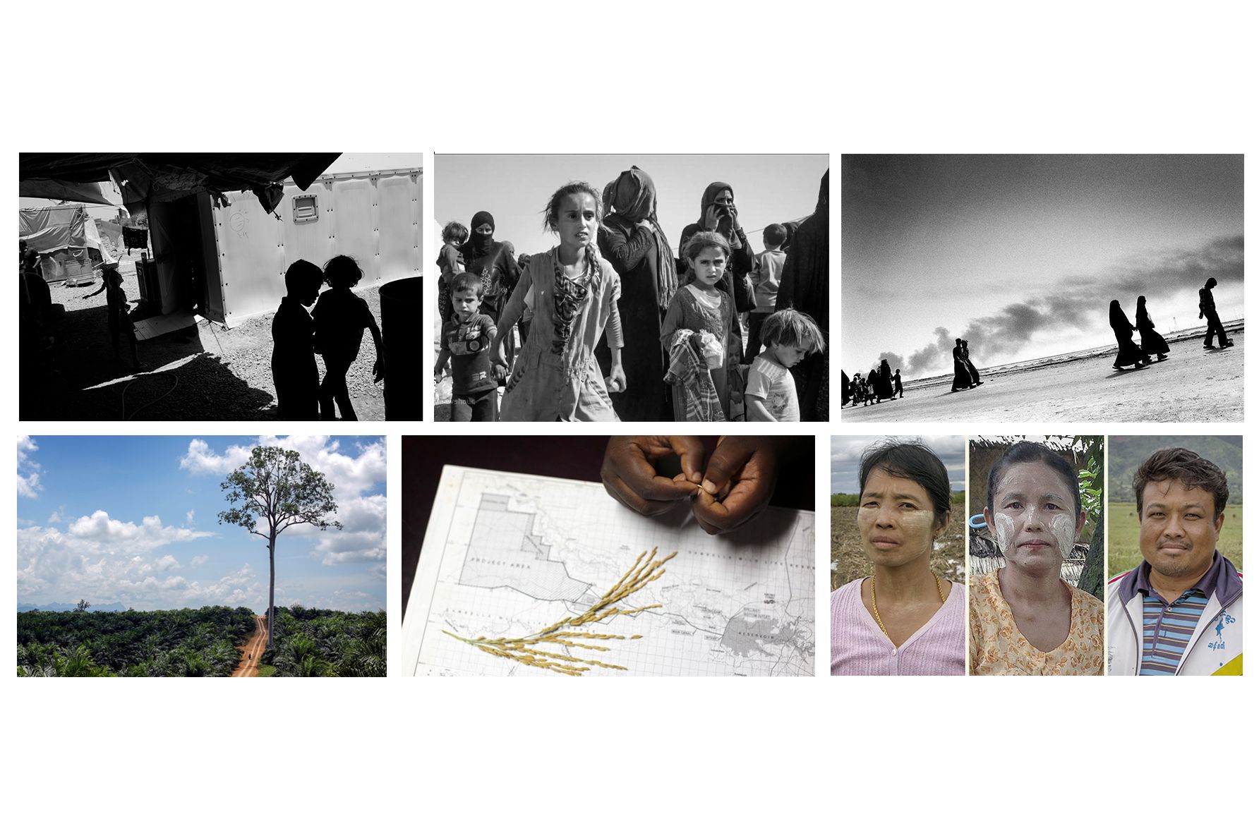 Top three images by Paolo Pellegrin for "Fractured Lands" NYT Magazine project. Bottom three images from "The Great Land Rush" FT project. Collage by Lauren Shepherd. United States, 2017.