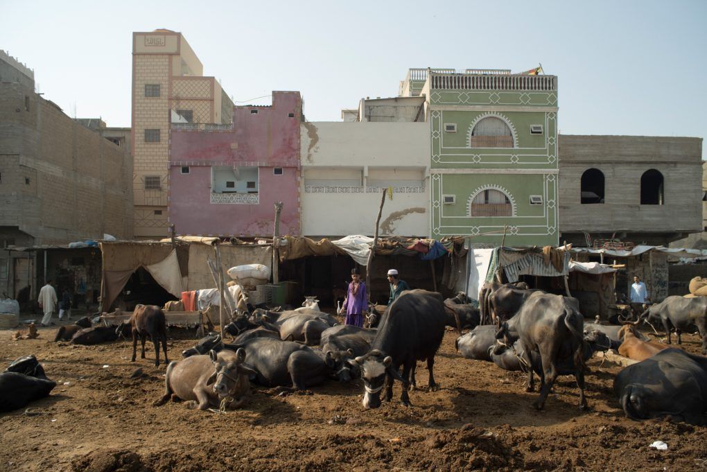 Informal Housing, near Depot Hill Station, Karachi, Pakistan. Still image from KCR, 2014-2017, nine-channel multimedia installation. Image by Ivan Sigal. Pakistan, 2017.