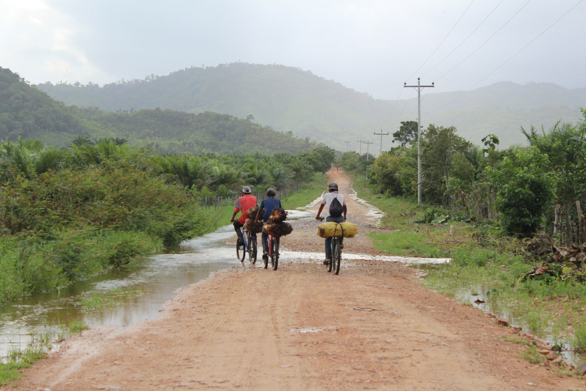 A dirt road near Dinant Corporation's El Tumbador plantation. Image by ICIJ. Honduras, 2014.