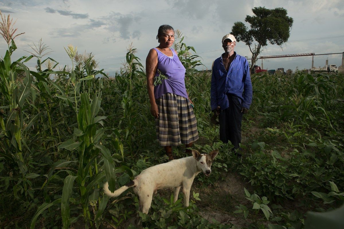 Jean Leon, 57, and her husband, Michelet Alexandre, 66, stand in their field in the Corail section of Canaan. They came in 1986, when there were only three households in the area. Now their large property, where they grow corn, manioc and sweet potato and graze their cattle, is surrounded by a fast developing neighborhood. “We came from the countryside to find life, and we certainly found life,” says Jean. Image by Allison Shelley. Haiti, 2018.