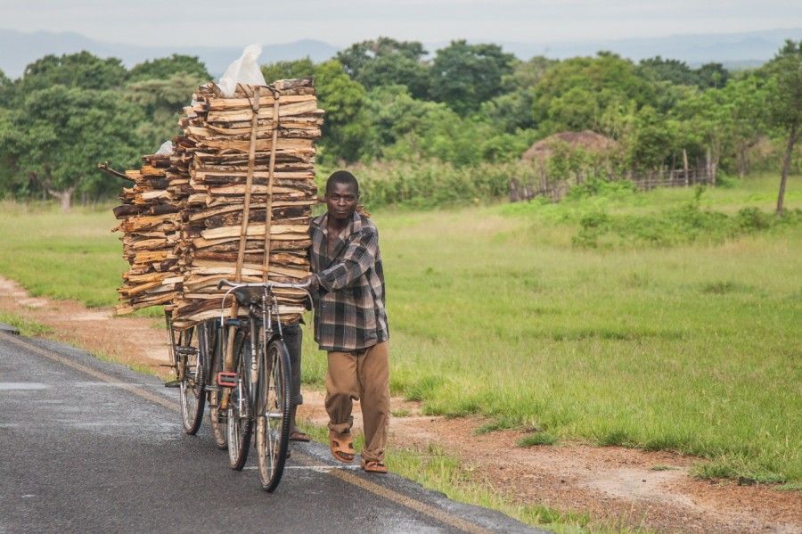 Like charcoal, firewood is a source of income for many. Malawi has one of the highest deforestation rates in the world. Image by Nathalie Bertrams. Malawi, 2017.