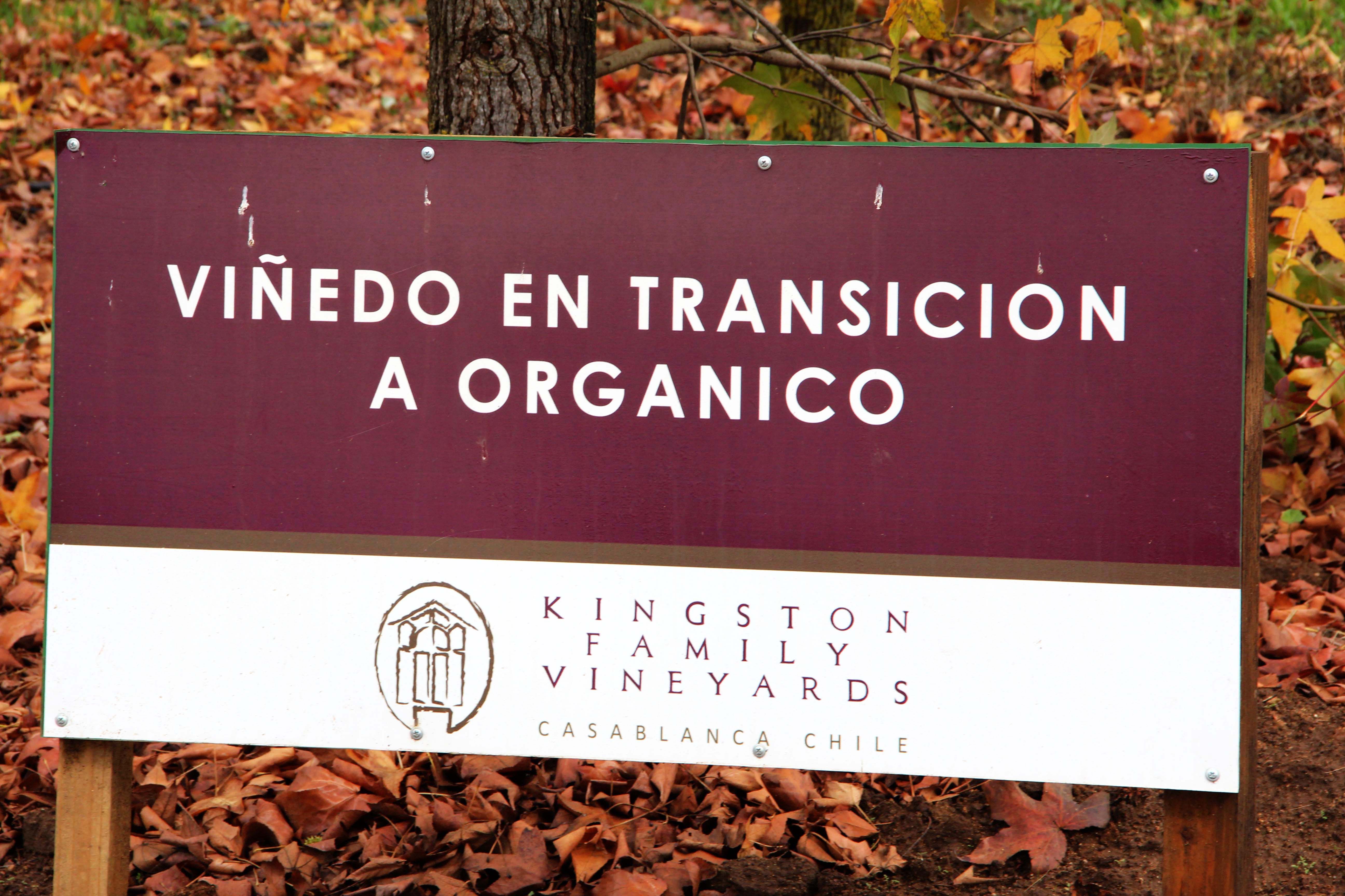 Sign at Kingston Family Vineyards promoting the transition to a fully organic vineyard. Image by Taylor Lord. Chile, 2017.