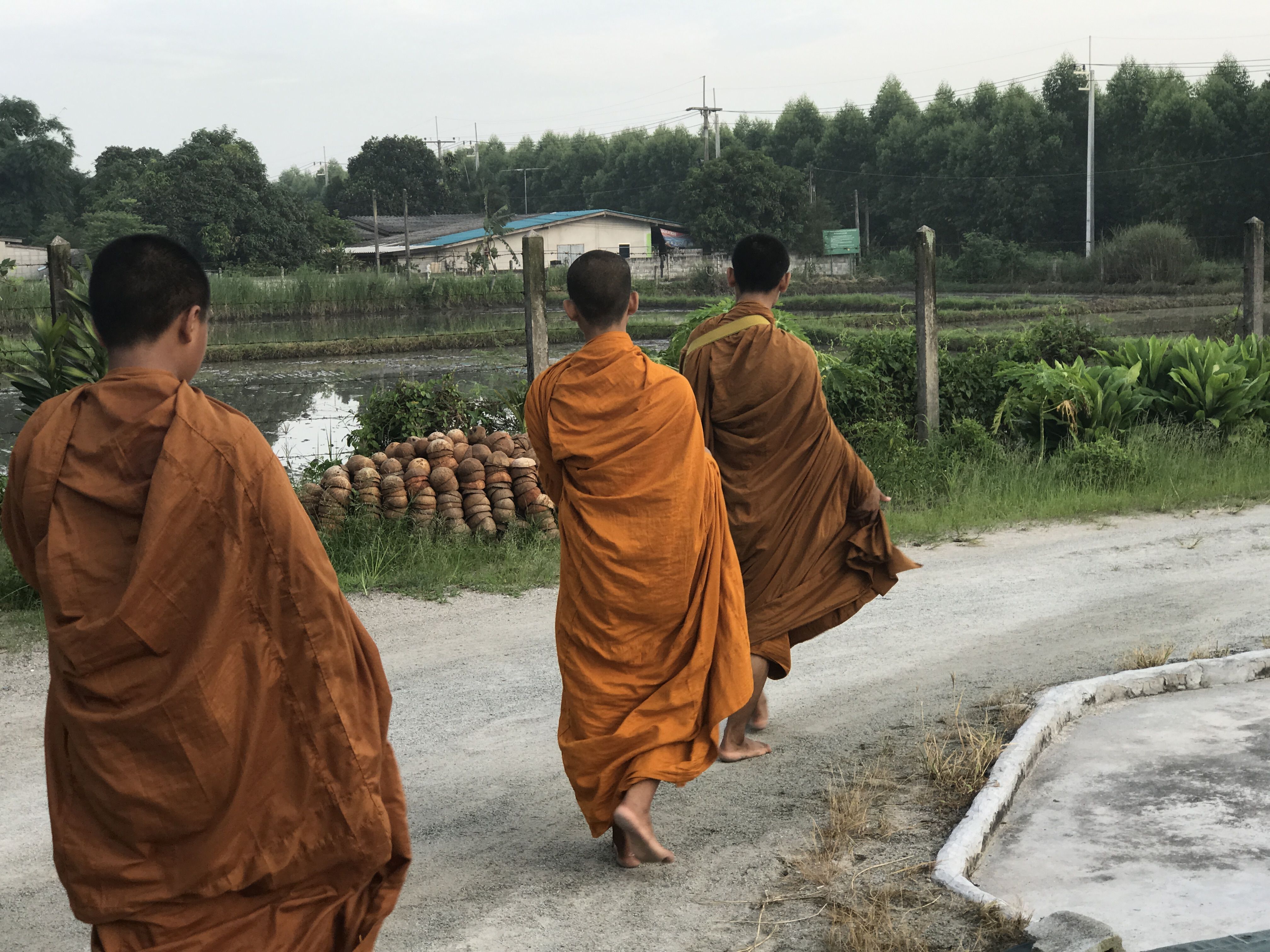 Three young monks collect morning alms in the Chonburi Province of Thailand. Image by Kiley Price. Thailand, 2018.