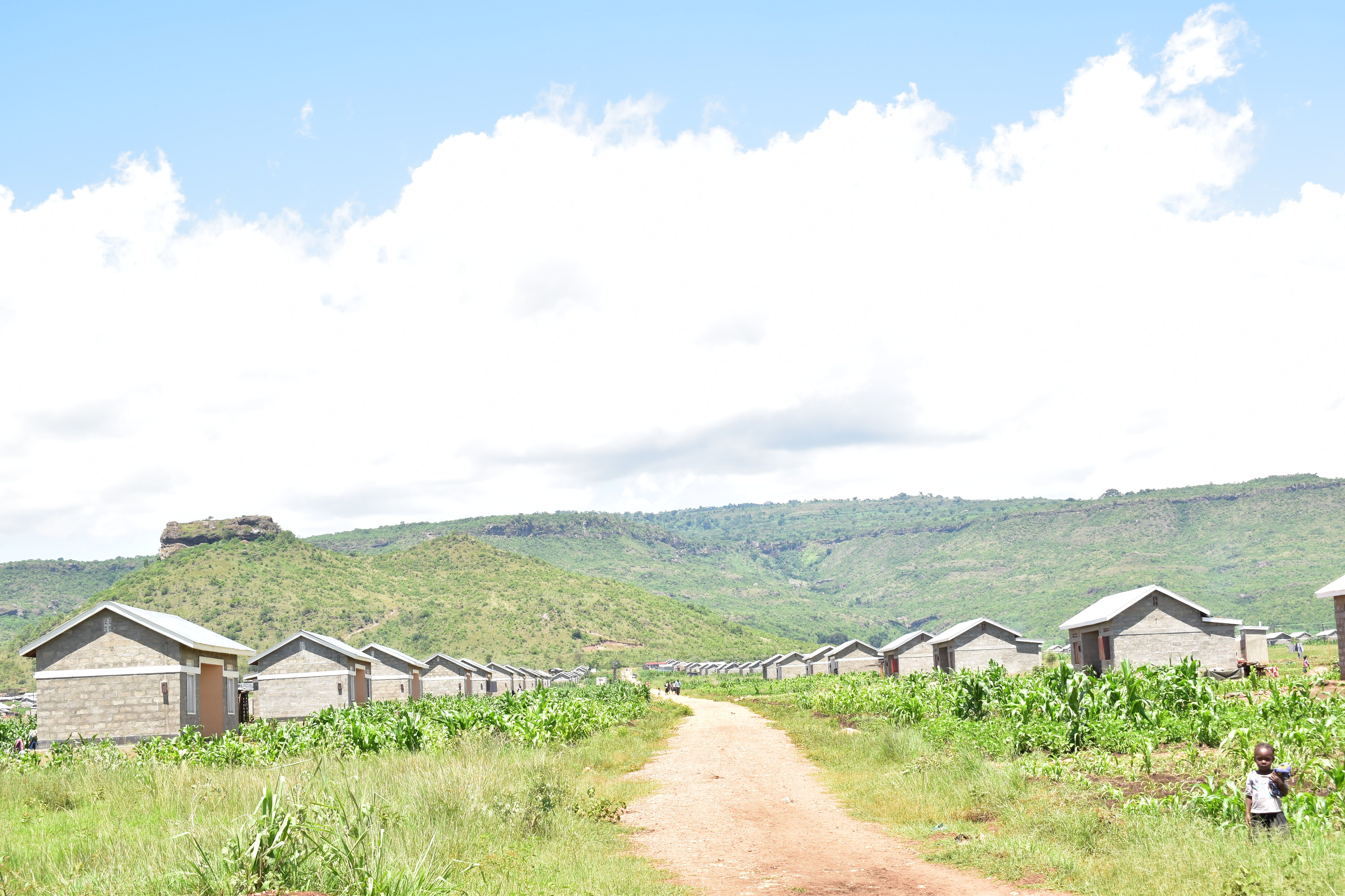 Bunambutye resettlement camp for Mt. Elgon landslides surivors. Image by by Javier Silas Omagor. Uganda, undated.