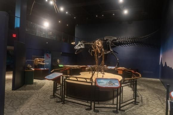 Burpee Museum of Natural History reopens to the public on Friday. Several coronavirus-related restrictions will be in place. Image by Albert Riley Jr./Rockford Register Star. United States, 2020.