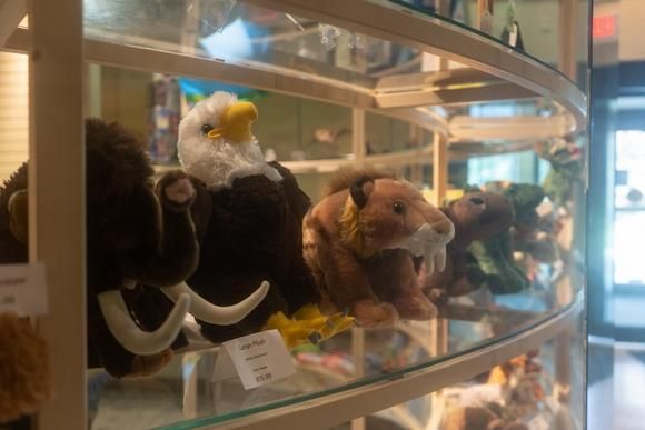 With the gift shop closed to the public, items are turned around to be selected for purchase at Burpee Museum of Natural History in Rockford. Image by Albert Riley Jr./Rockford Register Star. United States, 2020.
