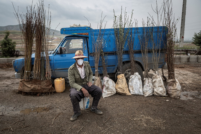 Maragheh, Iran - April 24 , 2020. It’s a cultivation season. This man is selling saplings on the way to the gardens while having a mask on his face. Iran was amongst five of the countries with the highest spread of COVID-19. Iran’s government began an official lockdown on March 15, 2020, the quarantines in place are for those who do not exhibit symptoms but have been exposed to the illness. Image by Jalal Shamsazaran / NVP Images. Iran, 2020.