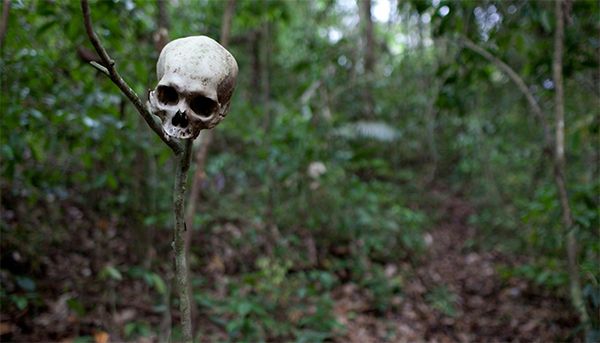A human skull serves as a warning to travelers in the Gap. Image courtesy of Carlos Villalon. Panama, 2016.