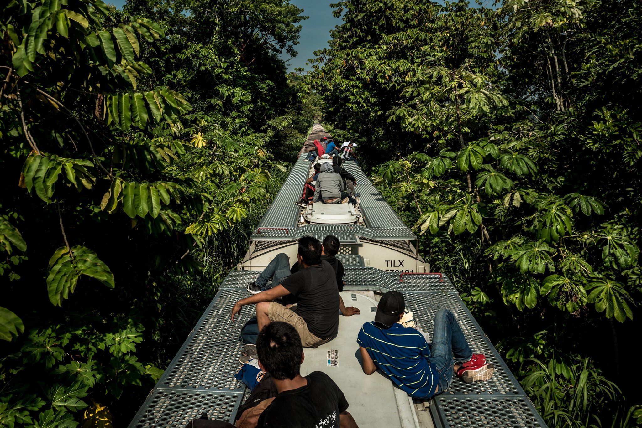 Migrants from Central America riding north on the Bestia freight rail line. Image by Meridith Kohut. Tabasco, Mexico, 2020. 