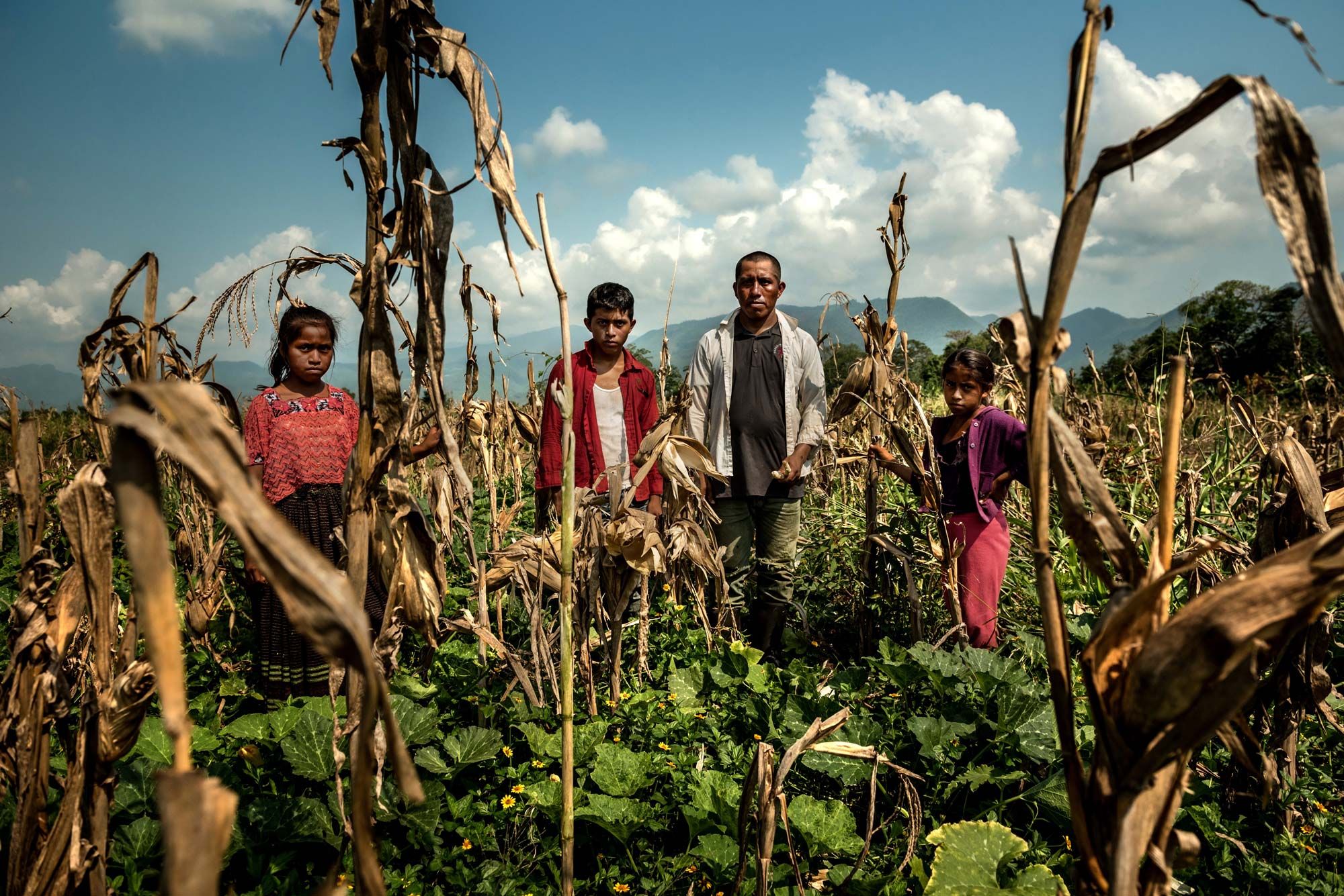ALTA VERAPAZ, GUATEMALA. Carlos Tiul, an Indigenous farmer whose maize crop has failed, with his children. Image by Meridith Kohut. Guatemala, 2020.
