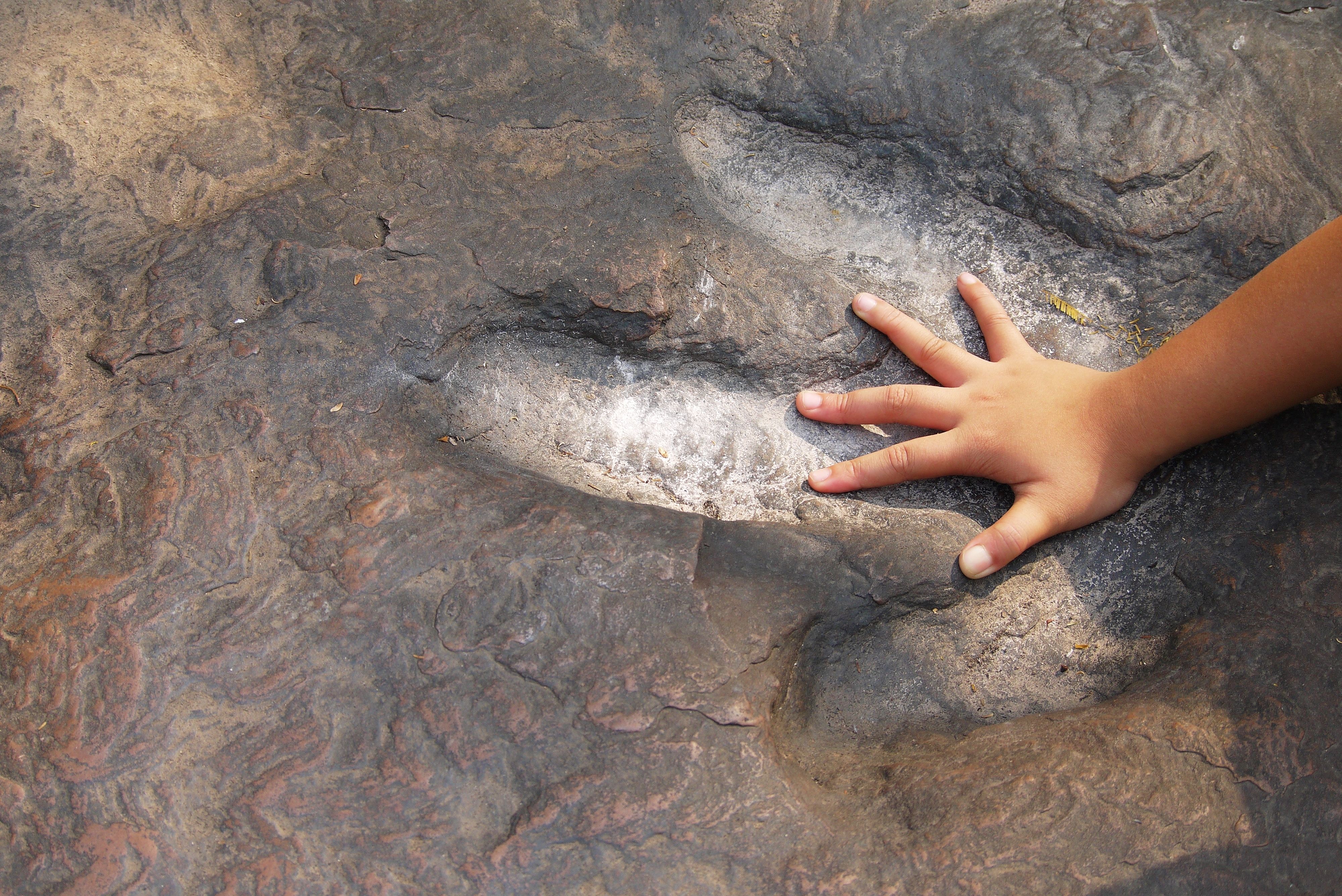 Child hands compared with dinosaur footprints in the forest park, discovery image, kids learn outside the classroom to enhance the experience, selective focus. Image by Rattana/Shutterstock. Undated.