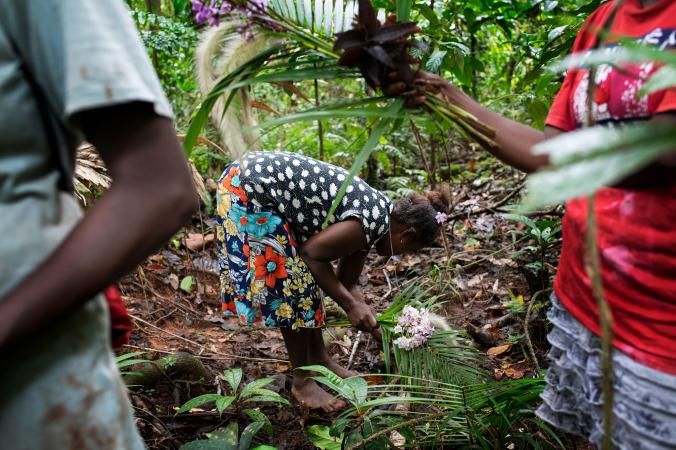 Conservationist Mary Osirii collects flowers. Women from the village of Igwa volunteer to police the Ngu Brothers logging company to make sure they only log where they're supposed to. Image by Monique Jaques. Solomon Islands, 2020.