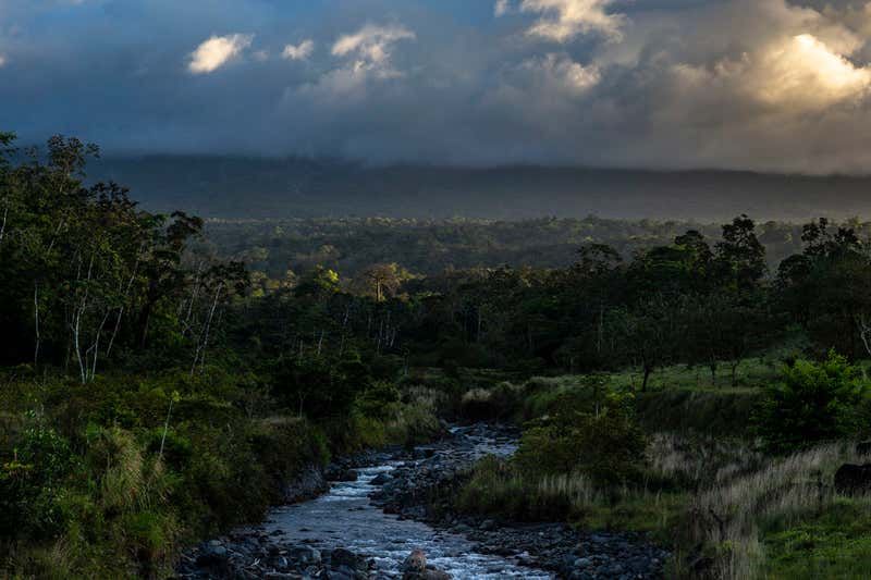 Jungle in the shadow of Rincón de la Vieja, a volcano in north-west Costa Rica that is often obscured by clouds. Image by Dado Galdieri. Costa Rica, 2020.