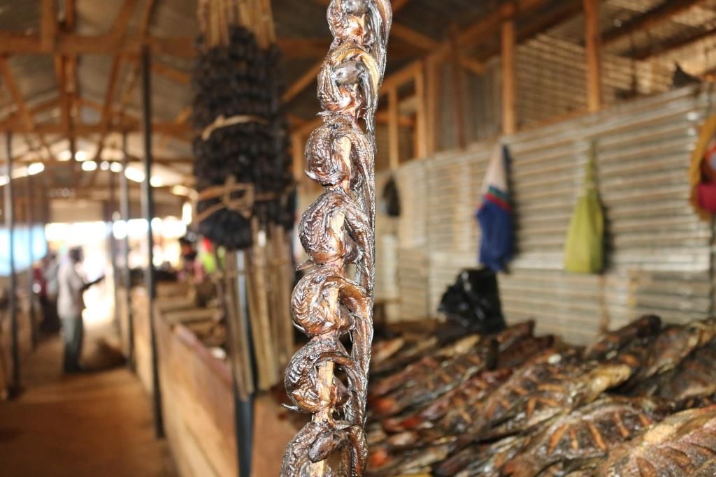Wetlands along river Rwizi are a source of different types of mudfish such as these on a stick in Mbarara central market, Mbarara town. Image by Fredrick Mugira. Uganda, 2019.
