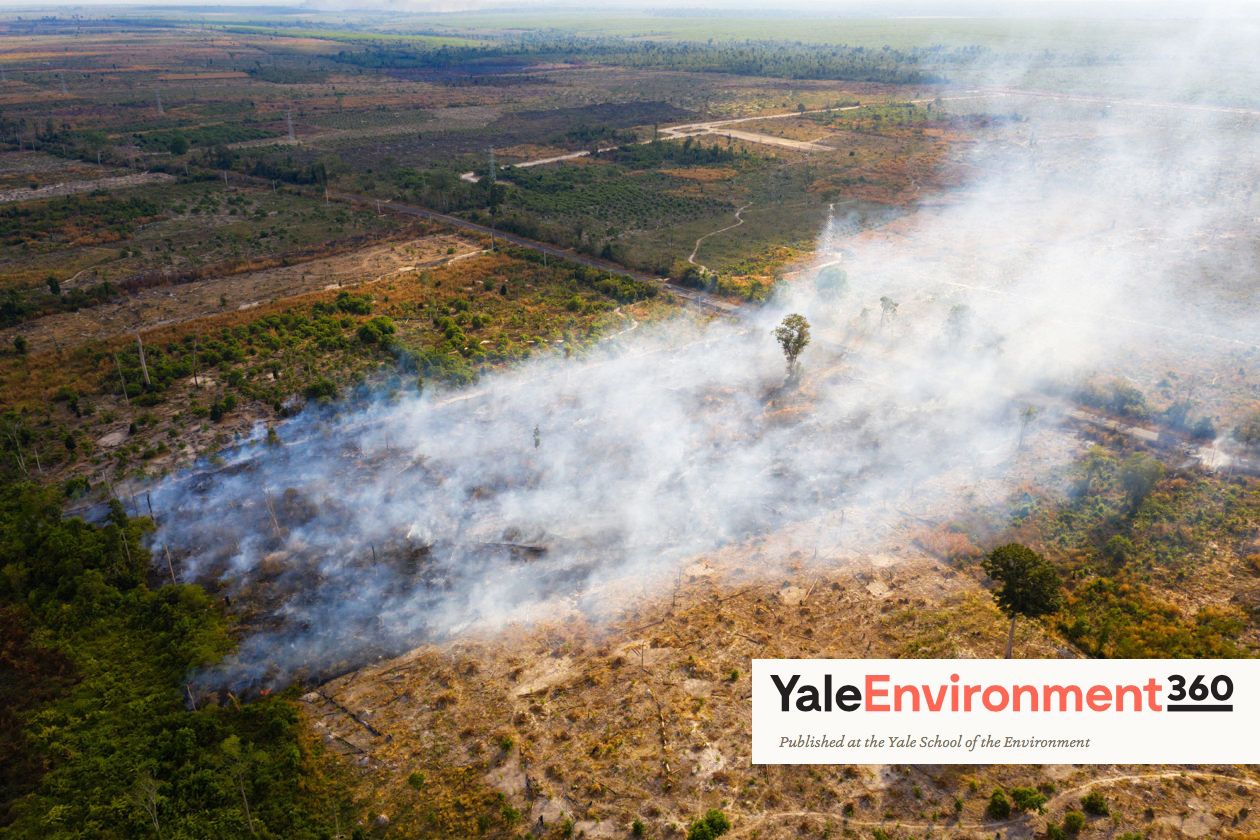 A burning field in the Beng Per Wildlife Sanctuary, in northern Cambodia. Beng Per is a sanctuary in name only as most of the land has been sold by the government for agricultural concessions and rubber plantations. Image by Sean Gallagher. Cambodia, 2020.