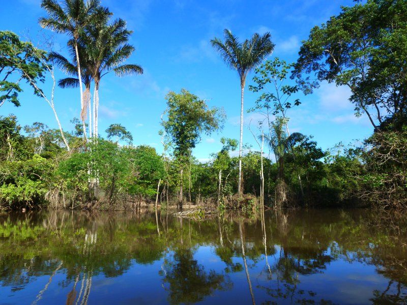The Amazon River. Image courtesy of Flickr. Peru, 2012.