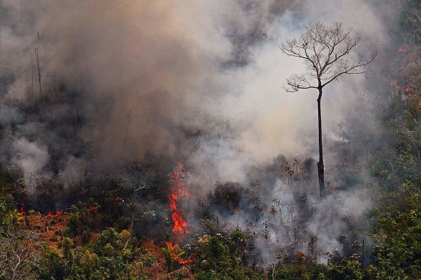 Aerial picture showing a fire raging in the Amazon rainforest about 65 km from Porto Velho, in the state of Rondonia, in northern Brazil, on August 23, 2019. Image by Carl De Souza/AFP/Getty Images. Brazil, 2019.