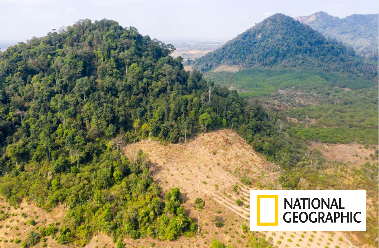 Cleared forests in Preah Vihear Province, in northern Cambodia near the border with Laos. The South East Asian country has one of the fastest rates of deforestation in the world; it's estimated that only 3 percent of primary forest remains. Image by Sean Gallagher. Cambodia, 2020.