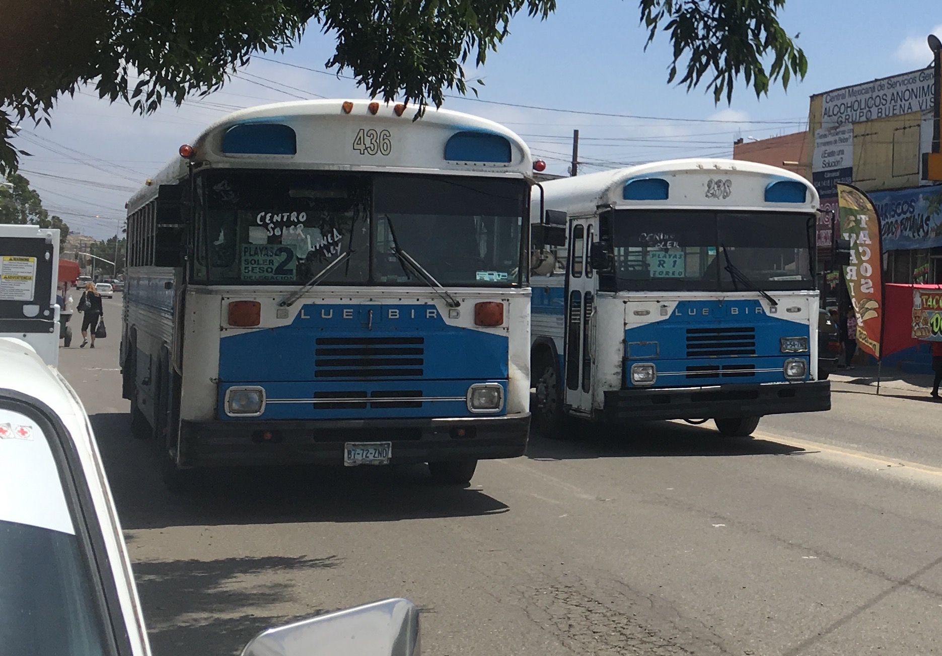 For decades, secondhand American school buses have been the workhorses of Tijuana's private bus fleets. Here, two from the same company, Azul y Blanco, run side-by-side, a practice that's frowned upon but common. Image by Patrick Reilly. Mexico, 2017.
