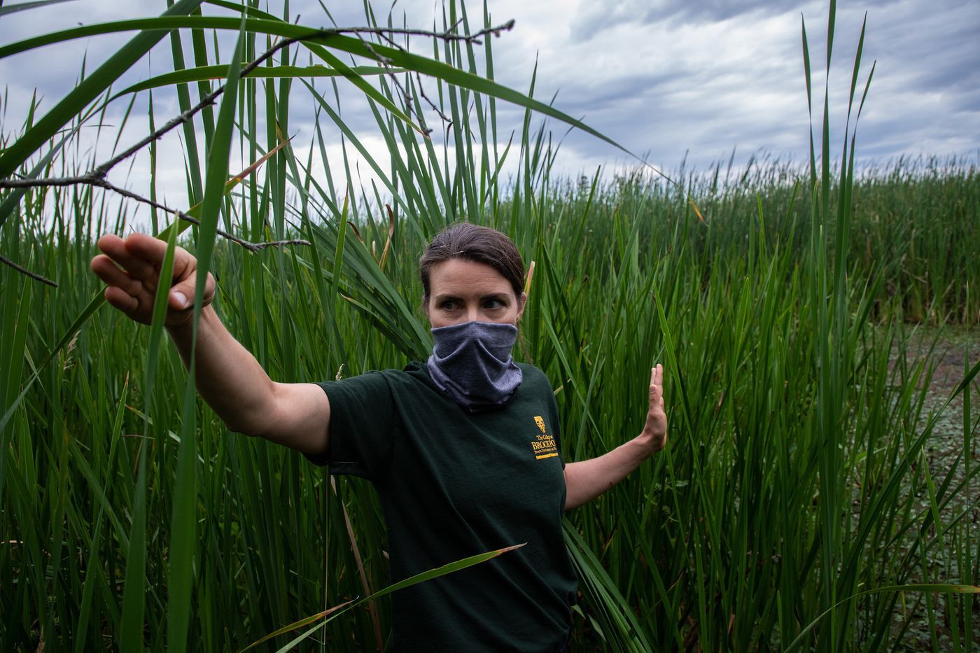 Rachel Schultz, associate professor of wetland science at SUNY Brockport, looks at an invasive cattail species as she visits sites of her wetlands research project on Lake Ontario at Braddock Bay in Greece, New York, on July 29, 2020. She researches how Lake Ontario’s coastal wetlands have been affected by the water level fluctuations. Image by Zbigniew Bzdak / Chicago Tribune. United States, 2020.